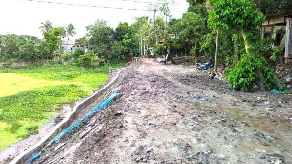 শ্রীনগরে নান্নু মিয়া সড়ক গ্রামবাসীর দীর্ঘদিনের স্বপ্নপুরণ