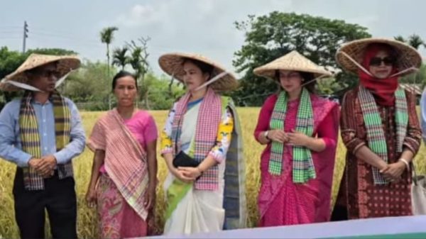 বান্দরবানে কৃষিতে প্রযুক্তিগত ব্যবহারে কৃষকের মুখে হাসি