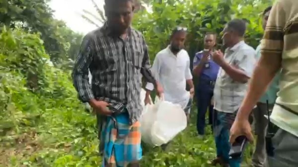 মুন্সীগঞ্জে টঙ্গীবাড়ীতে শিক্ষার্থীকে শ্বাসরোধে হত্যা অভিযুক্ত আ'টক